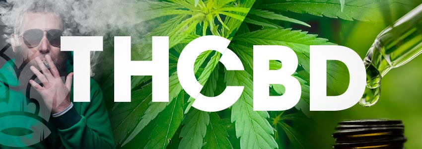 THC : CBD